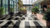 Ionic Marble LM30 and Corinthian Marble LM31 tiles in a block pattern in an office lobby