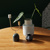 Plant and modern metal candle stick