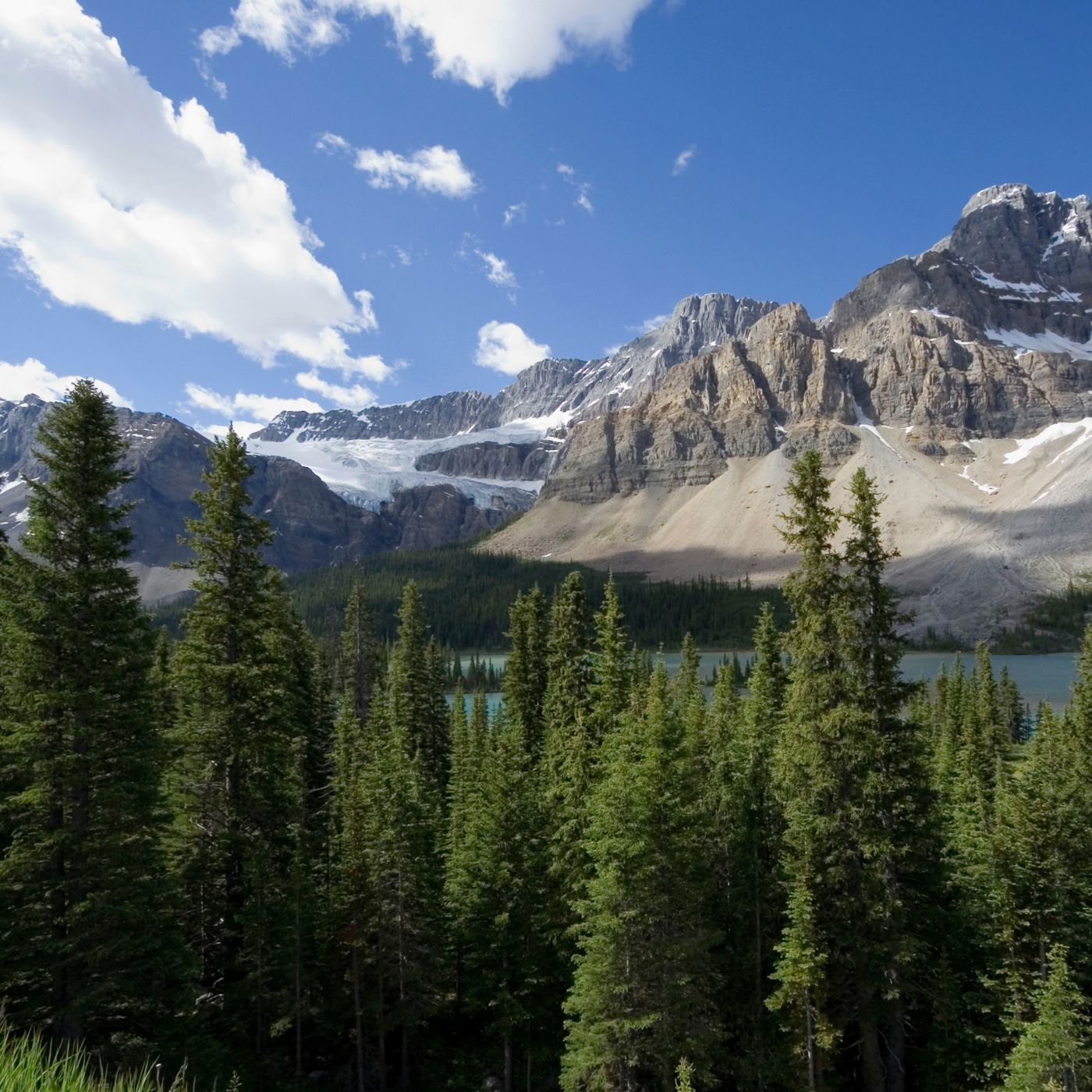 Timber flooring design inspiration