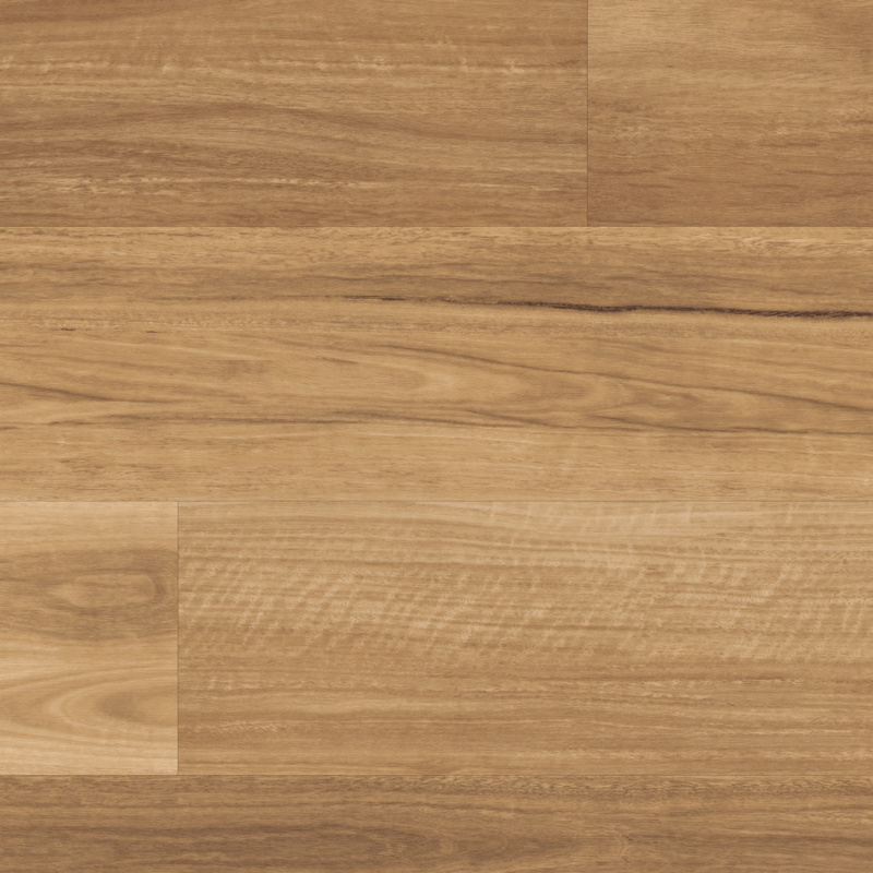 Lemon Spotted Gum LLP317 