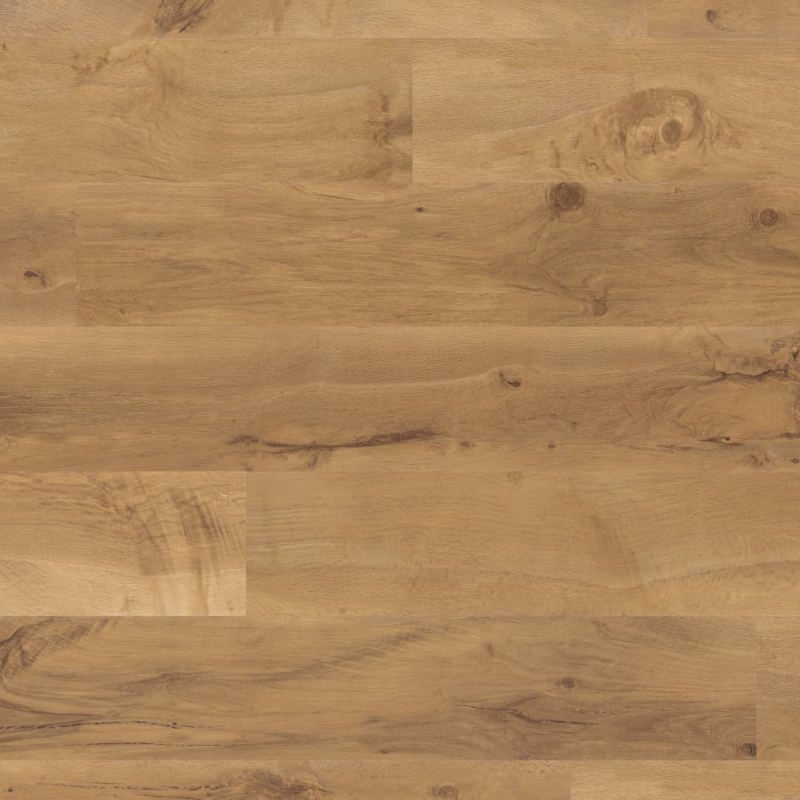 Auckland Oak VGW52T-SCB