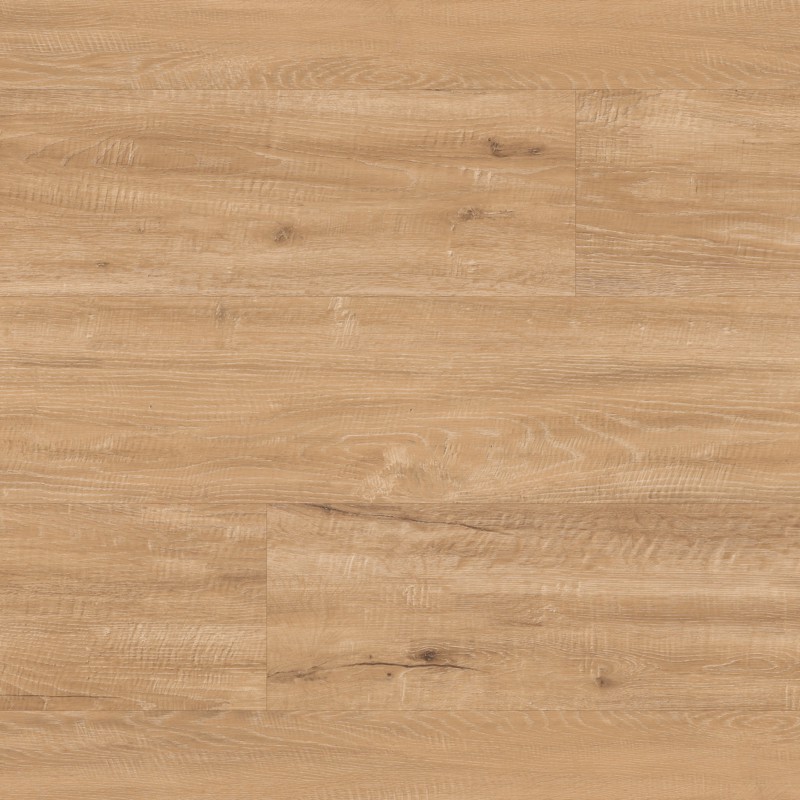 Champagne Oak LLP310 