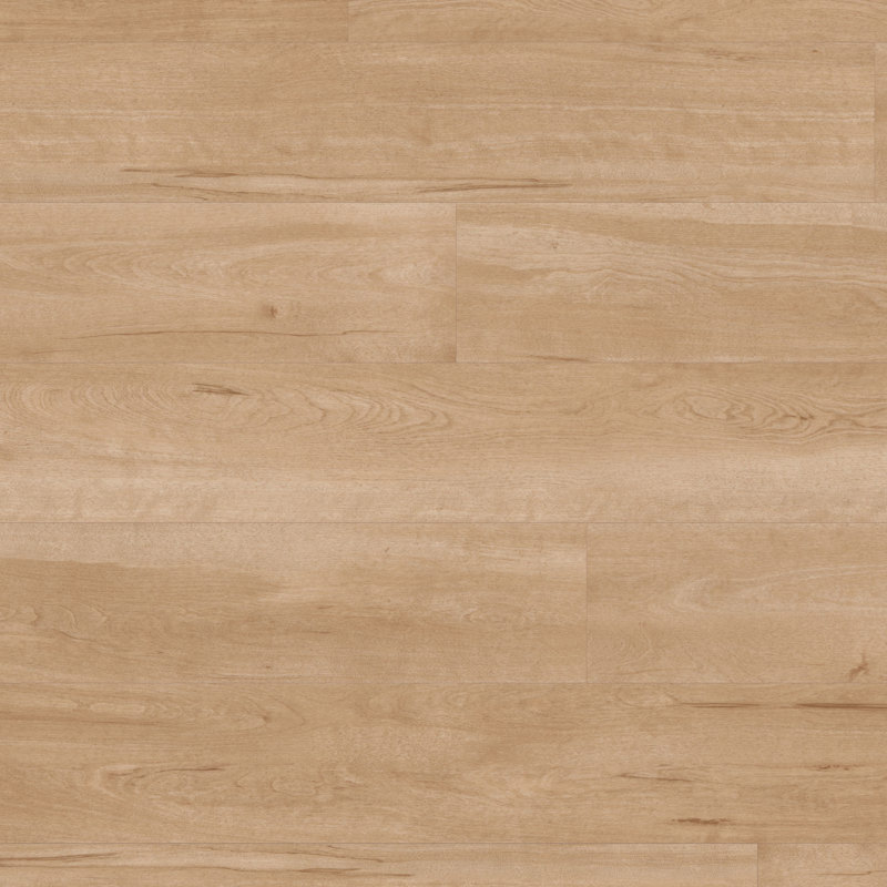 Birch VGW84T 