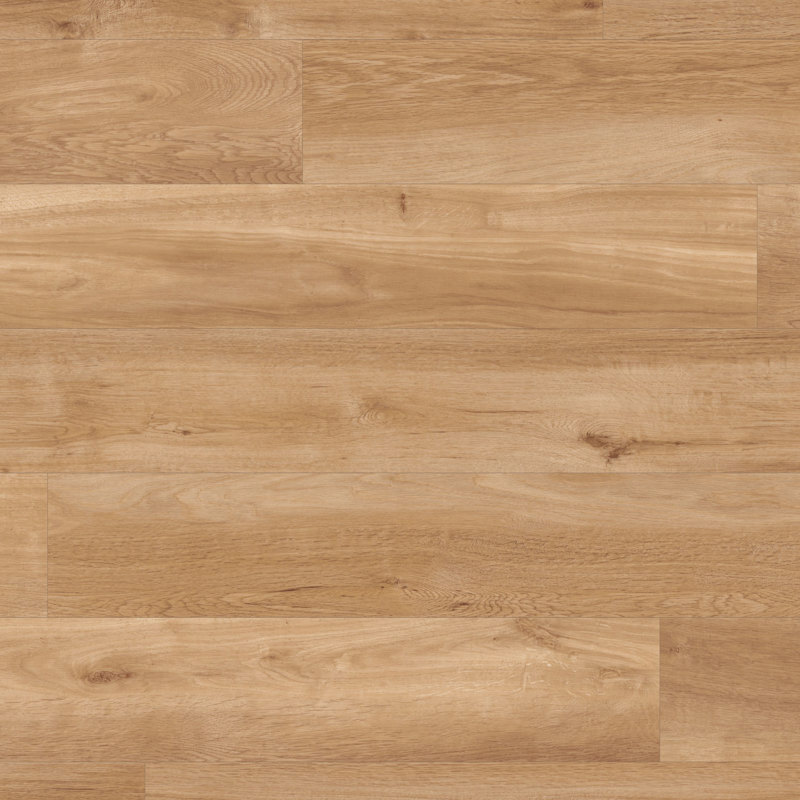French Oak VGW85T-SCB 