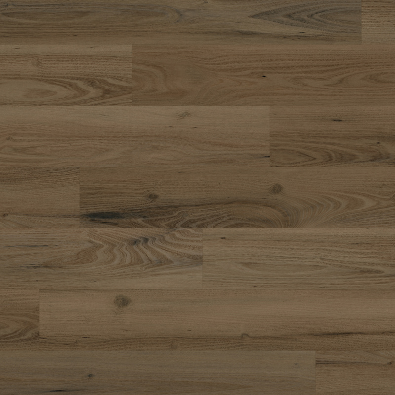 Duxbury Acacia KP161